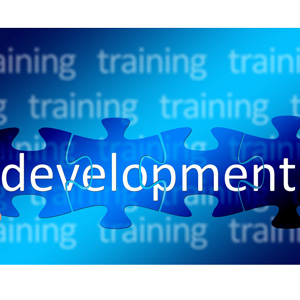 development puzzle pieces and training repeated in the background