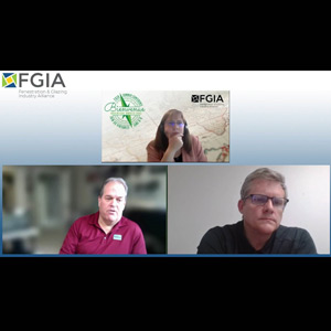 screenshot from virtual panel discussion