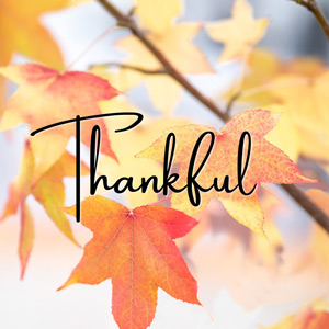 Thankful with closeup of leaves on a tree in the background