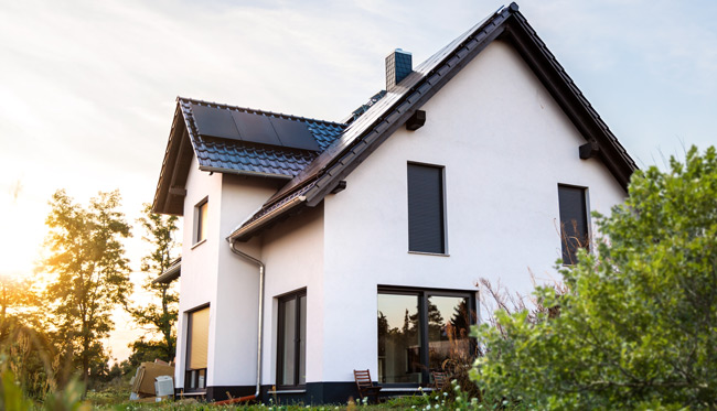 single family home exterior with a garden